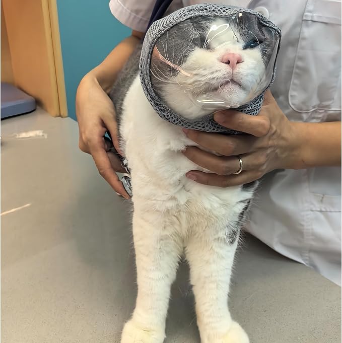 Cat Muzzle for Grooming, Adjustable Transparent Anti-Bite Cat Mask for Nail Clipping (Grey S)