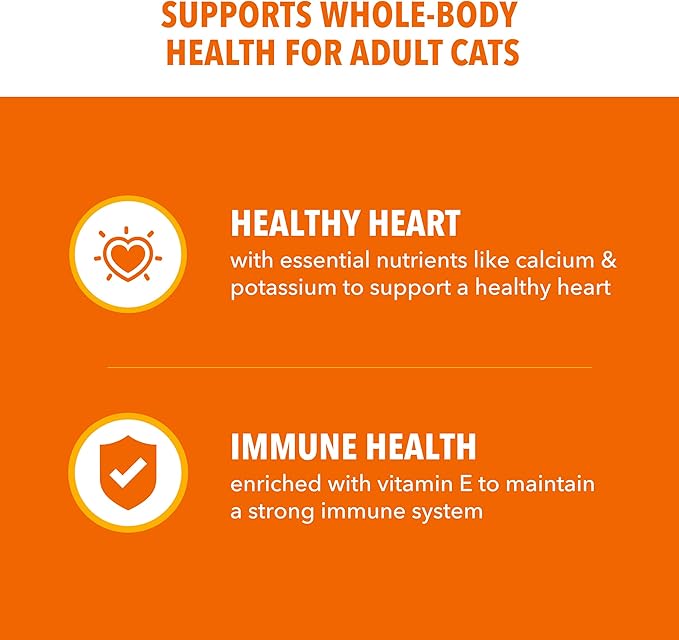 IAMS Proactive Health Dry Cat Food, Healthy Cat Food Dry Recipe for Adults, Salmon, 7 lb. Bag