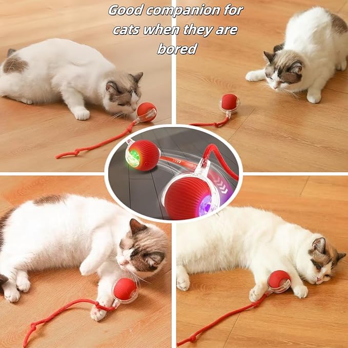 BoBow 2pcs Interactive Dog Toys, Interactive Rolling Ball, Moving Cat Balls, 360° Smart Automatic Rolling Pet Ball Toys Balls for Bored Indoor Cats/Dogs(Red&Blue)