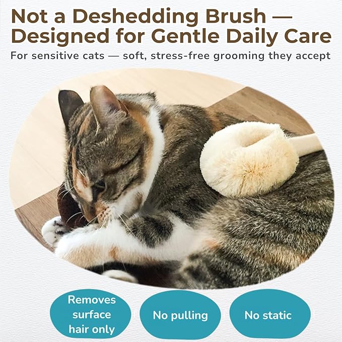 Wablade Cat Brush, Gentle Grooming Brush for Sensitive Cats & Kittens – Soft Grooming & Massage, Gently Removes Loose Surface Fur (Not a Deshedding Tool), Sisal, Made in Japan (Type-A)