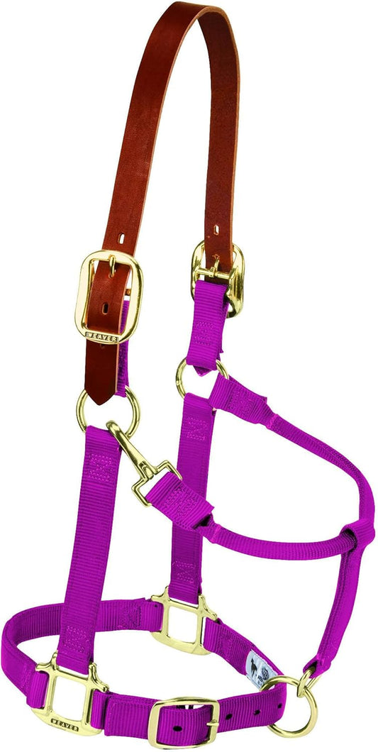 Weaver Equine Breakaway Horse Halter, Supple Leather Crown, Adjustable Chin & Throat Snap Halters for Horses, Equine Tack