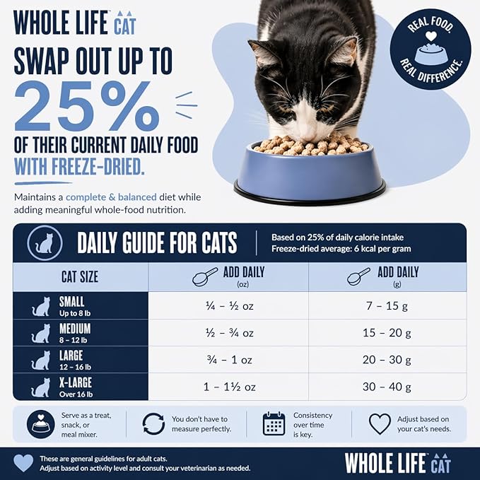 Whole Life Cat Just One Salmon Freeze Dried Cat Treats - Human Grade High Protein Food, Healthy Training Snacks, Freeze Dried Salmon Food Toppers, USA Made Natural Treats - 1 oz (Pack of 1)