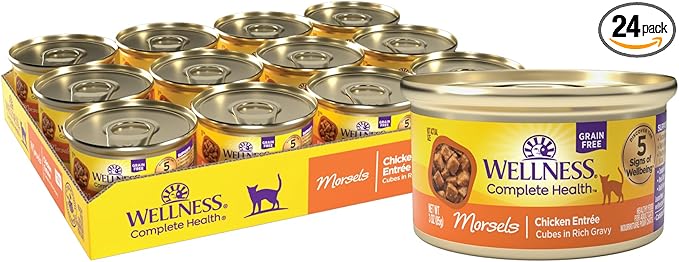 Wellness Complete Health Morsels Adult Canned Wet Cat Food, Natural, Protein Rich, Grain Free, Chicken Entrée Recipe, 3 oz, Pack of 24 Cans