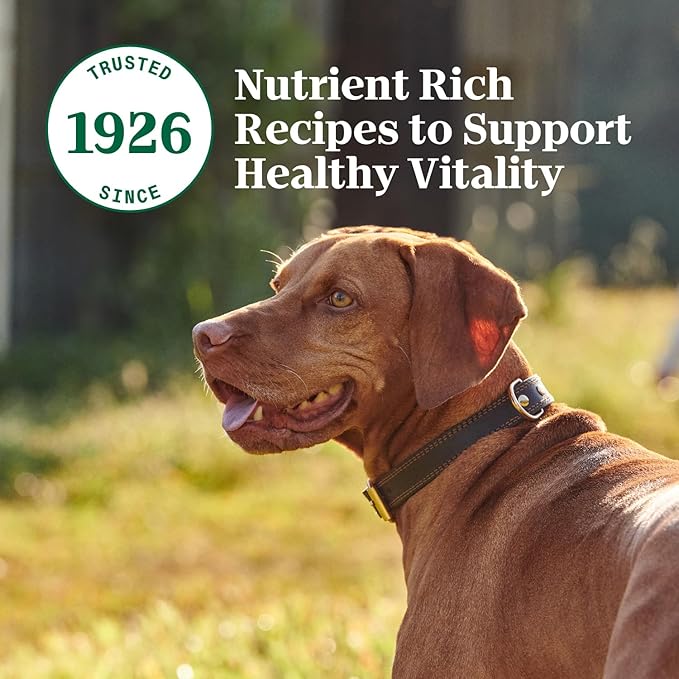 Nutro Hearty Stew Canned Wet Dog Food, Natural Grain Free Dog Food Wet Cuts in Gravy Tender Chicken with Carrot & Pea Stew, 12.5 oz. Cans (12 Count, Pack of 1)