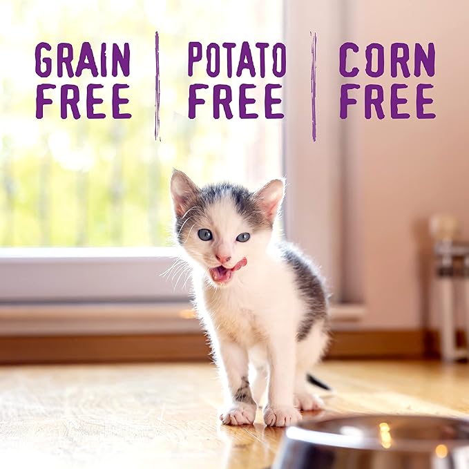 Stella & Chewy's Raw Coated Premium Kibble Cat & Kitten Food – Grain Free, Protein Rich Meals – Cage-Free Chicken for Kittens Recipe – 5 lb. Bag