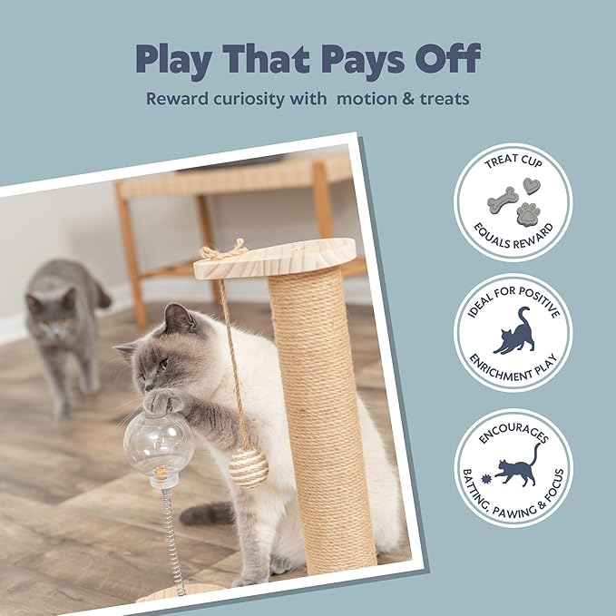 Trixie Oliver 18" Interactive Cat Scratching Post - 4-in-1 Indoor Small Cat Furniture with Jute Post, Treat Cup, Wooden Track & Hanging Ball
