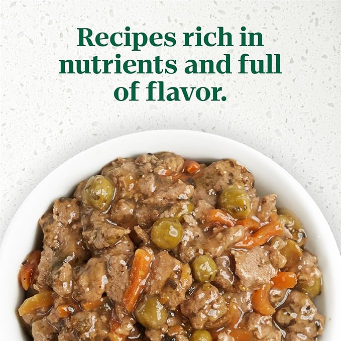 Nutro Ultra Wet Dog Food Grain Free Filets, Adult Dog Food Wet Recipe in Gravy Signature Duck Entree, 3.5 oz. Trays (24 Count, Pack of 1)