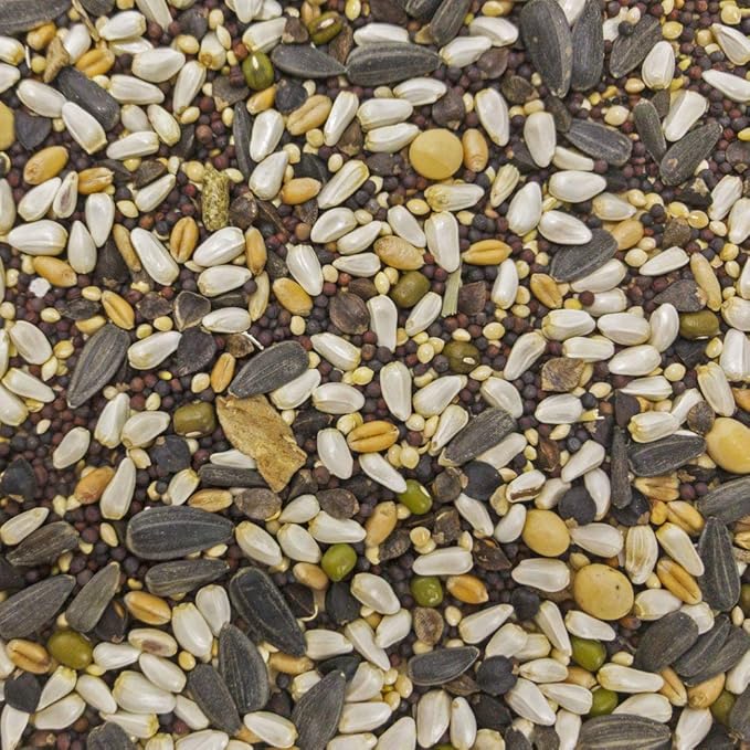 Higgins 2 Pack of Sunburst Soak n' Sprout Seeds with Quinoa for Small Birds, 3 Ounces Each