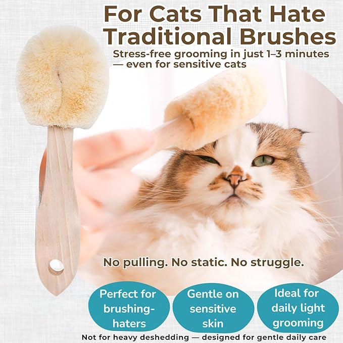 Wablade Cat Brush, Gentle Grooming Brush for Sensitive Cats & Kittens – Soft Grooming & Massage, Gently Removes Loose Surface Fur (Not a Deshedding Tool), Sisal, Made in Japan (Type-B)