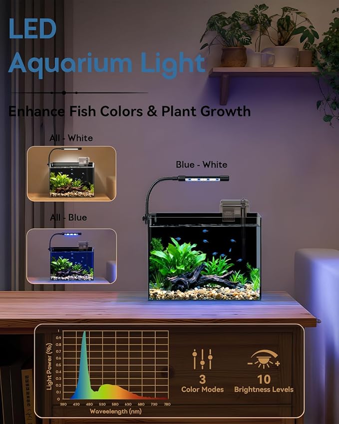 Glass Fish Tank Kit, 2.5 Gallon Betta Fish Tank Aquarium Starter Kit with Filter, Lights, Lid, for Betta, Goldfish, Small Fish or shrimg, Black