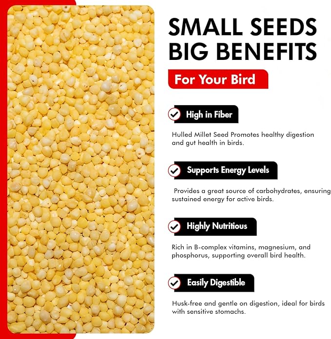 Morning Bird Hulled Millet 9 lbs – Nutritious Hulled Millet Seed - Waste Free - No Mess - Easily Digestible with High Fiber, Rich in Vitamins & Minerals for Birds, Ideal Bird Feed for All Bird Types