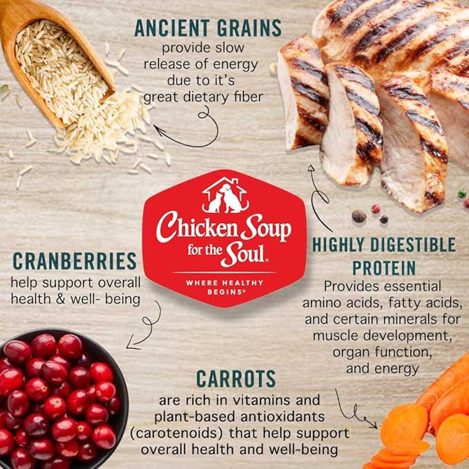 Chicken Soup for The Soul All Natural Premium Wet Puppy Food, Real Meat First Ingredient, No by-Products, Artificial Colors, Flavors or Preservatives, Chicken, Turkey & Duck Pate, 13oz (Pack of 12)