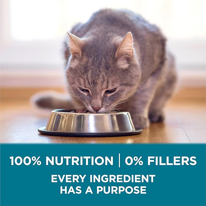 Purina ONE Natural Dry Cat Food, Tender Selects Blend With Real Chicken - 22 lb. Bag