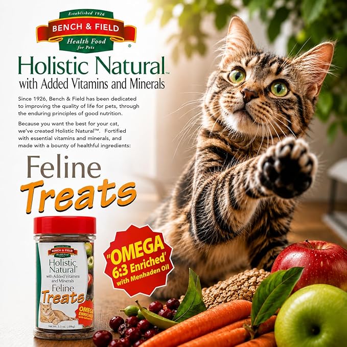 Bench & Field Holistic Natural Healthy Kitty Cat Treats | Crunchy Fish-Shaped Bites | Delicious Seafood Flavored Snack, 3-Ounce Bottle