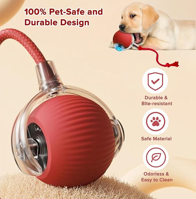 Interactive Cat Toy Ball for Indoor Cats, Motion Activated Cat Ball with 3 Speeds, 2 Replaceable Tails, Safe Material Kitten Toys, USB Charging, 360° Smart Rolling Ball for Bored Adult Cats and Dogs