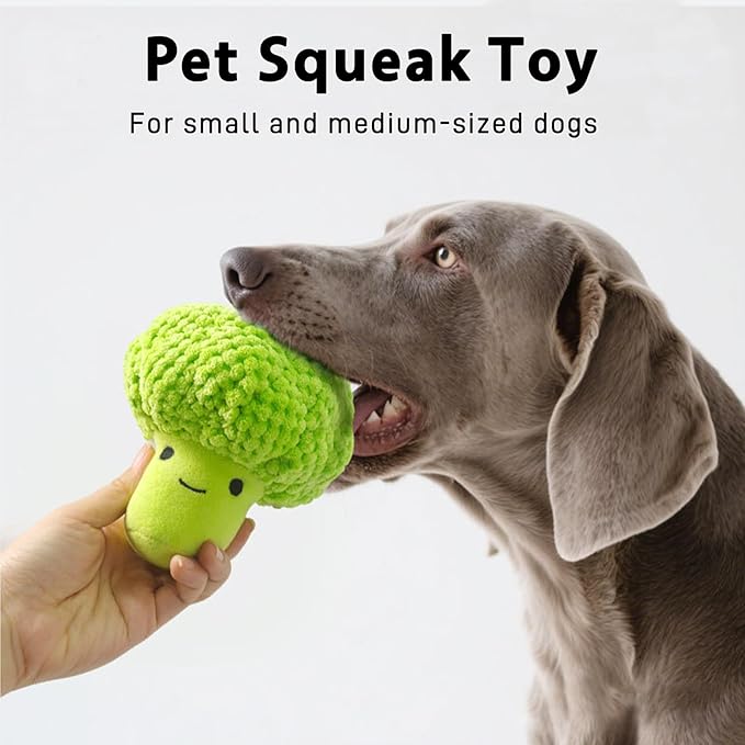 Broccoli & Corn Plush Pet Squeak Toys - Soft Plush with Squeaker, Cotton Filling, Portable Chew Toys for Small & Medium Dogs (Corn+Broccoli)