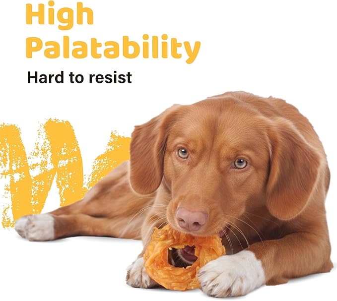 iPaw 10 Pcs Value Pack Turkey Tendons for Dogs, Single Protein, Hypoallergenic, All Natural Human Grade Puppy Chew, Rawhide Alternative Dog Treats, Ring (Small)