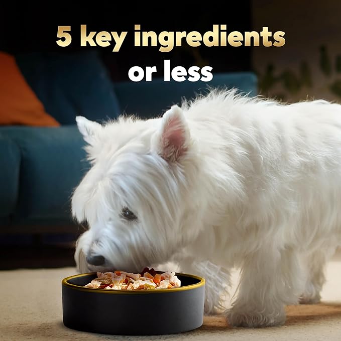 Cesar Simply Crafted Wet Dog Food Toppers for Dry Food, Chicken and Chicken, Carrots & Green Beans Meal Topper Variety Pack, 1.3 oz. Tubs, 8 Count (Pack of 2)