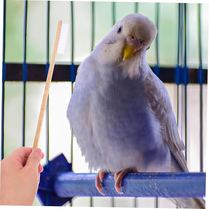 Abaodam 2pcs Bird Cage Cleaning Brush Set Droppings Scoop Efficient Cleaning Tools for Small Animal Cages and Easy to Use