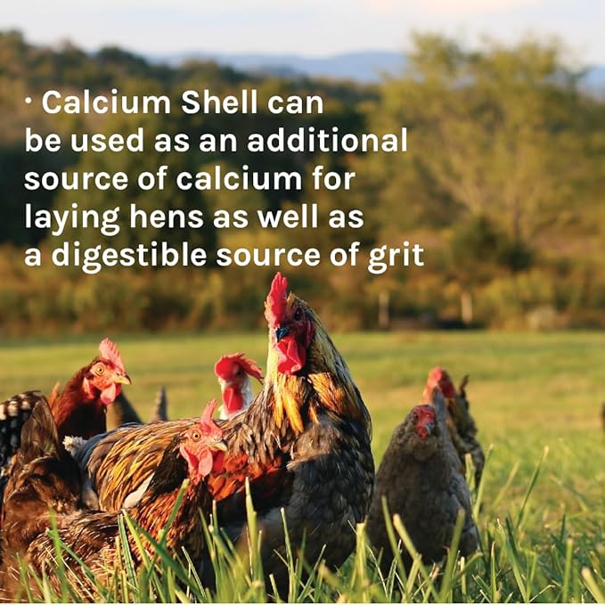 New Country Organics | Flock Perfect Calcium Poultry Shell to Strengthen Egg Shells in Laying Hens | 8 lbs