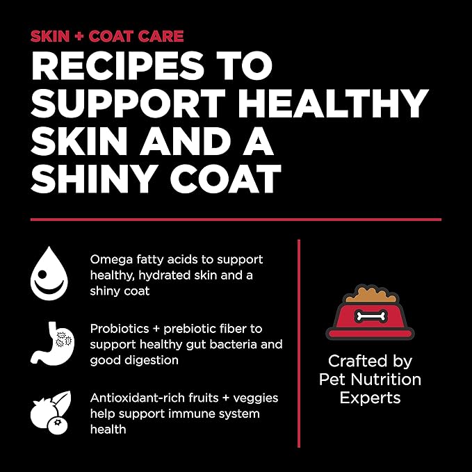 Go! Solutions Skin + Coat Care Lamb Dry Dog Food with Grains, Chicken-Free, Healthy Kibble with Omega-3s & 6s for Soft, Shiny Fur, for Puppies, Adults, & Seniors, 3.5 lb Bag
