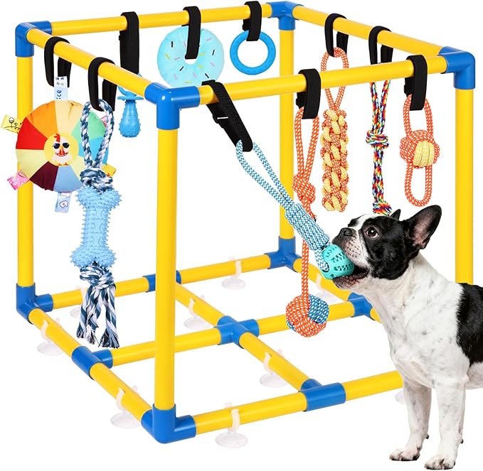 WLLEYAY Puppy Play Gym for Small Dogs with 10 Hanging Toys, Removable Indoor Jungle Gym, PVC Frame with Adjustable Bungee Straps, Interactive Dog Toys Tug Toys for Dogs Rope Toy to Keep Them Busy