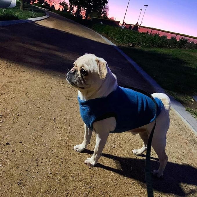 Gooby - Stretch Fleece Vest, Pullover Fleece Vest Jacket Sweater for Dogs, Steel Blue, Small