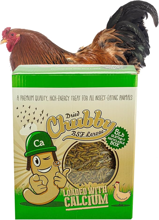 Chubby Dried Black Soldier Fly Larvae | 5 lbs Box | Non-GMO High-Protein Insect Treat for Chickens, Ducks & Wild Birds – Calcium-Rich Chicken Feed