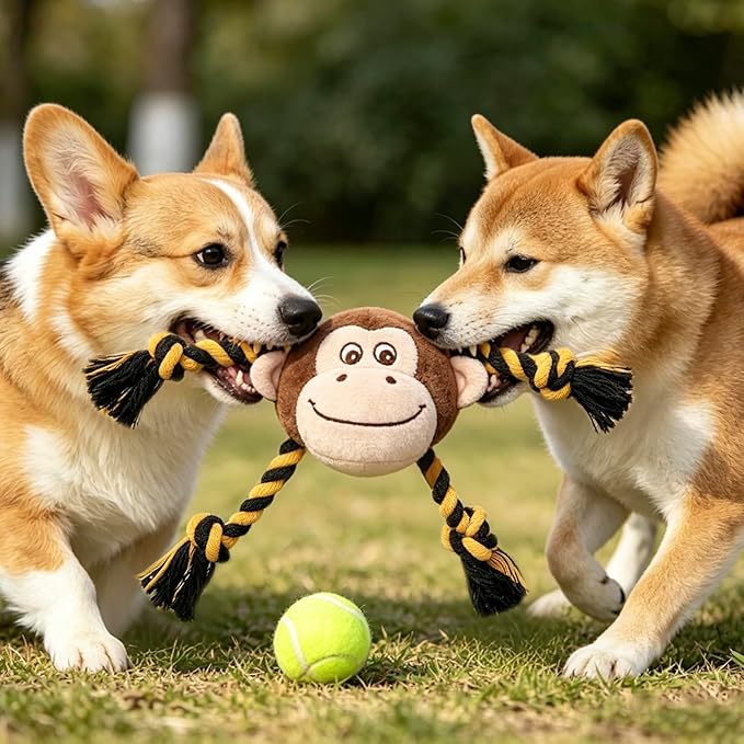 PUPTECK Funny Dog Squeaky Chew Toys - 3 PCS Cute Monkey Plush Stuffed Toys for Puppy Pet Tugging Playing