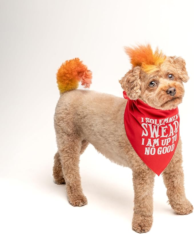 I Solemnly Swear I Am Up to No Good Dog Bandana (Lime Green, OS 1101)