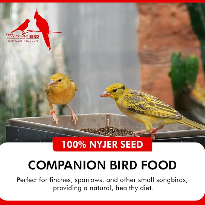 Morning Bird Nyjer Seed for Birds 4.5 lbs (3-Pack, 1.5 lbs Each) – Rich in Natural Healthy Fats – Ideal for Breeding & Molting – Premium Bird Food for Canaries and Other Seed-Eating Birds