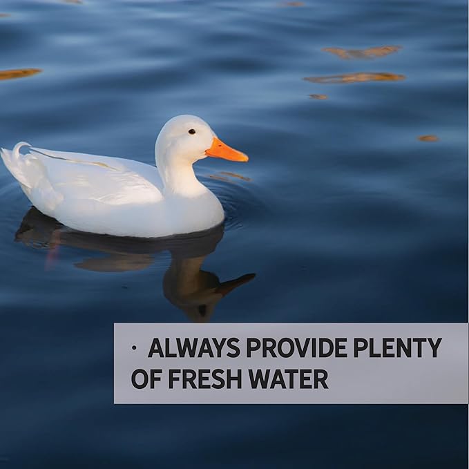 New Country Organics I Organic Duck Grower Feed I 19% Protein I Certified Organic and Soy-Free Duck Food for Healthy Growth | Ideal for Wild & Pet Ducks | Prevents Angel Wing I 40 lbs