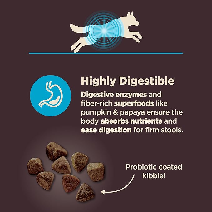 Wellness CORE Digestive Health Adult Dry Dog Food, Wholesome Grain Kibble, Sensitive Stomach, Natural, High Protein, Chicken Free, Whitefish and Brown Rice Recipe, 4 lb Bag