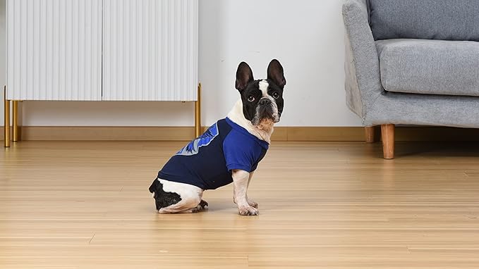 Harry Potter Ravenclaw Pet T-Shirt in Size Extra Large | XL Dog T-Shirt, Harry Potter Dog Shirt | Harry Potter Dog Apparel & Accessories for Hogwarts Houses, Ravenclaw Blue
