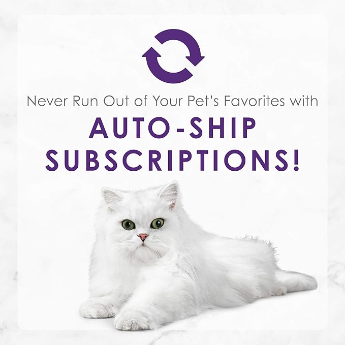 Purina Fancy Feast Delights With Cheddar Grilled Whitefish and Cheddar Feast in Wet Cat Food Gravy Cat Food - (Pack of 24) 3 oz. Cans
