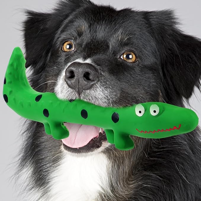 Angoily Squeaky Dog Cat Toy Puppy Toys Interactive Tough Play Fetch, No Stuffing, Small, Medium, Large Pet Breed, Reduce Separation Anxiety, 9.5 Inch (Latex Lizard)