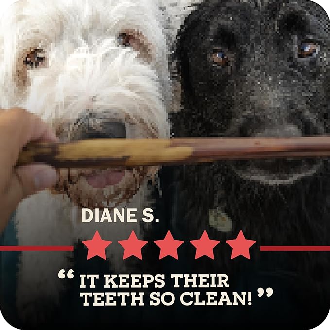 Redbarn Pet Products Bully Springs for Dogs, Pack of 25