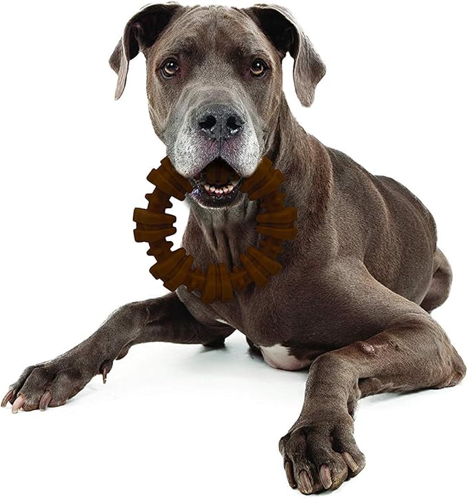 Nylabone 5 Pack of Power Chew Textured Ring Dog Toys, Souper, Flavor Medley, for Extreme Chewers Up to 50 Pounds