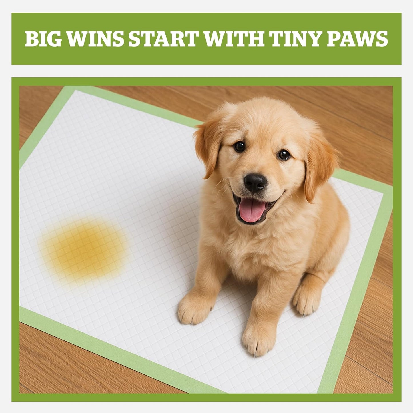 Pogi’s Dog Pads with Sticky Tabs – Large, Super Absorbent, Odor Blocking, 20-Count (24x24in)