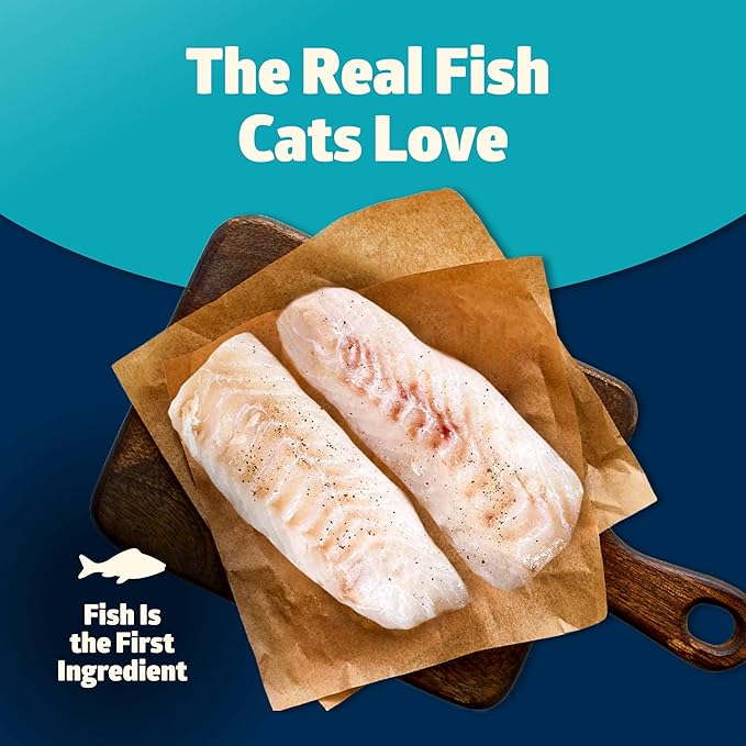 Blue Buffalo Freedom Grain-Free Adult Dry Cat Food, Complete & Balanced Nutrition for Indoor Cats, Made with Natural Ingredients, Whitefish Recipe, 11-lb. Bag