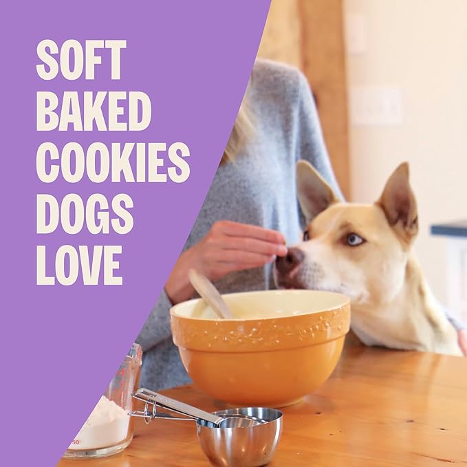 Wellness Old Mother Hubbard Wholesome Indulgences Soft-Baked Dog Biscuits, Natural Treats, Bacon, Oats, and Maple Flavor, 10 oz Bag