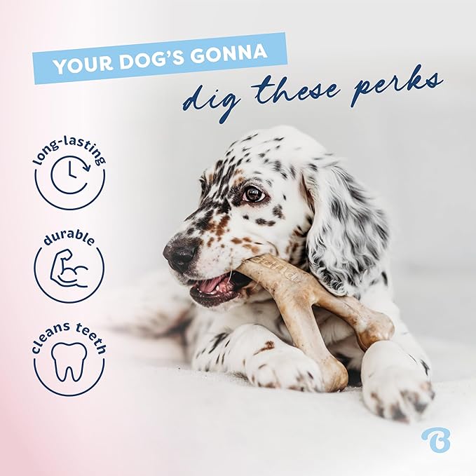 Benebone Puppy 2-Pack Rubber Bone/Wishbone Bacon Tiny