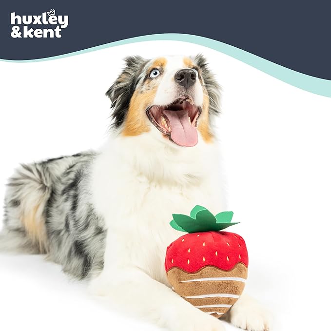 Huxley & Kent Funny Dog Toy w/Squeaker – Valentine's Day Power Plush Squeaky Dog Toys for Small, Medium & Large Dogs – Soft Stuffed Animal for Indoor Play & Fetch - Chocolate Strawberry, Large