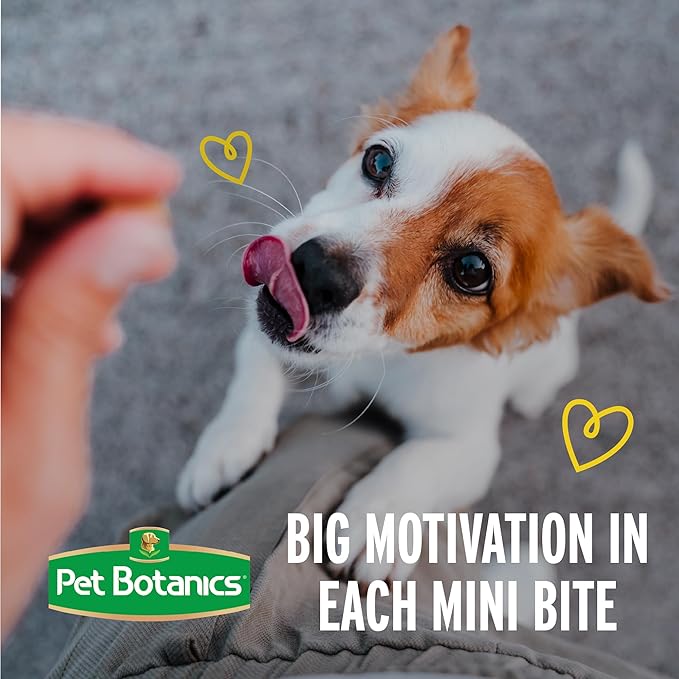 Pet Botanics 10 oz. Pouch Training Reward Mini Soft & Chewy, Chicken Flavor, with 500 Treats Per Bag, The Choice of Top Trainers