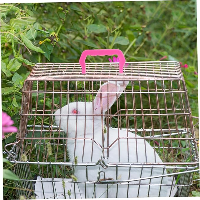 LIOOBO Portable Pet Crate Handles 20 Hamster Squirrel Bird Cage Accessories Easy to Carry Outdoor