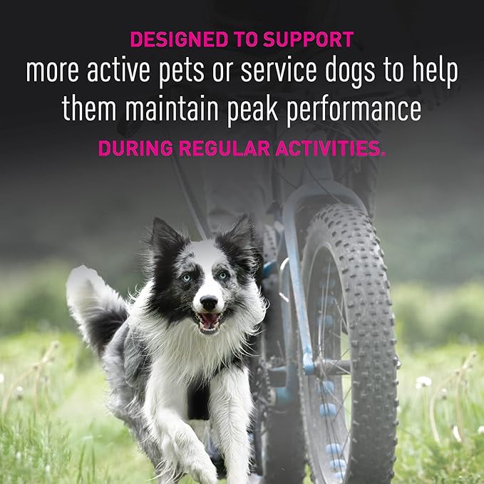 Eukanuba Adult Premium Performance 26/16 Exercise Dry Dog Food, 40 lb Bag