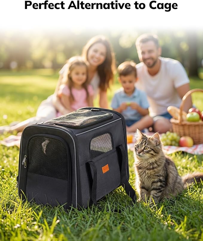 Morpilot Cat Carrier - Cat Carrier Soft for Small or Medium Cats up to 20lbs, with Sided Cushion, Secure Buckle and Foldable Bowl, Dog Carriers for Small Dogs (Dark Gray)