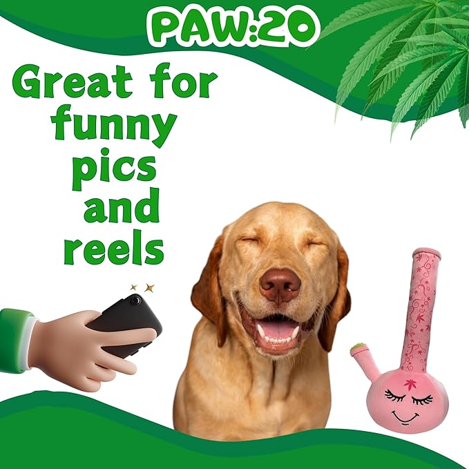 My Name is Harmony Bong, Funny Squeaky Weed Dog Toy, Cute Stuffed Parody Pot Bong, Cool Plush 420 Novelty Gift for Pets, Sized for Puppies & Small, Medium & Large Breeds, Fetch & a Photo Prop