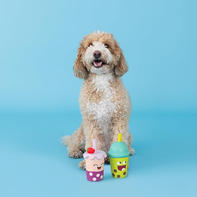 Fringe Studio Dog Toy Set, Best-Teas, 2Pc Mini, Latex, Pet Shop Collection (368012) (Pack of 2)