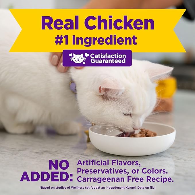 Wellness Appetizing Entrées Shredded Adult Wet Cat Food, Natural, Protein Rich, Grain Free, Chicken and Salmon Recipe, 1.4 oz, Pack of 8 Pouches